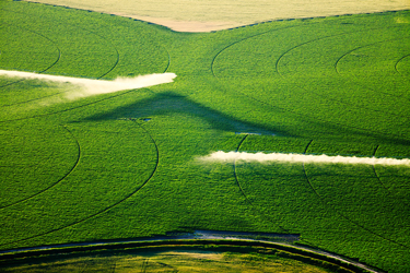 agriculturefarming_thumb